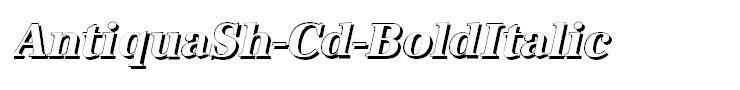 AntiquaSh-Cd-BoldItalic