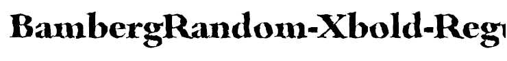 BambergRandom-Xbold-Regular