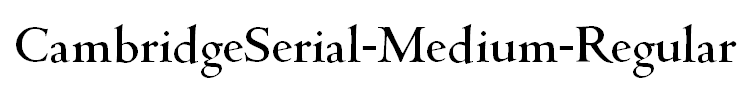 CambridgeSerial-Medium-Regular