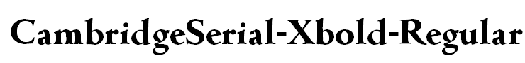 CambridgeSerial-Xbold-Regular