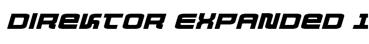 Direktor Expanded Italic