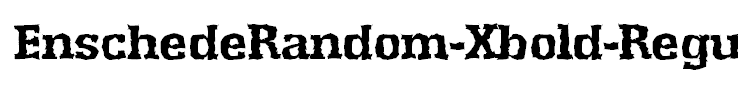 EnschedeRandom-Xbold-Regular