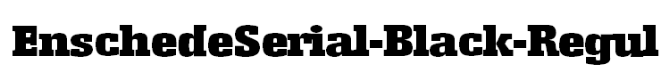 EnschedeSerial-Black-Regular