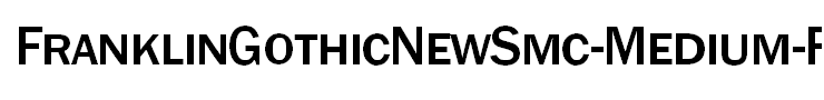 FranklinGothicNewSmc-Medium-Regular