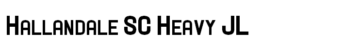 Hallandale SC Heavy JL