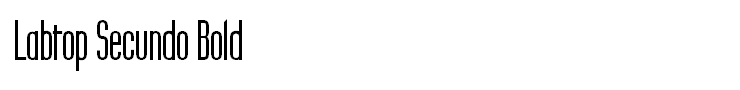 Labtop Secundo Bold