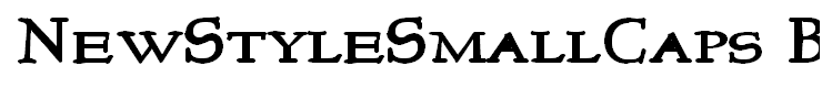 NewStyleSmallCaps Bold
