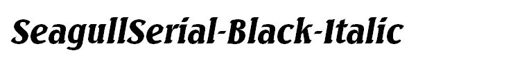 SeagullSerial-Black-Italic