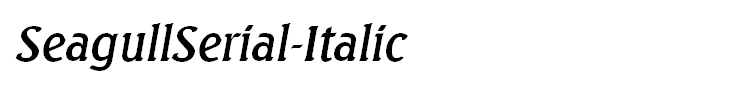 SeagullSerial-Italic