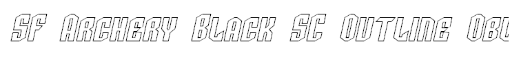 SF Archery Black SC Outline Oblique