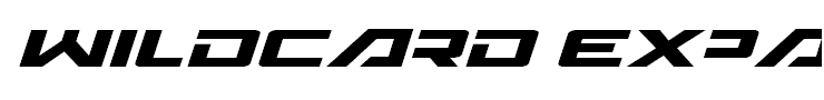Wildcard Expanded Italic